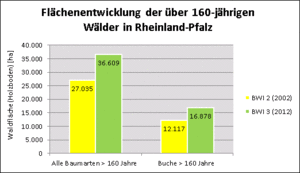 Flächenentwicklung der über 160-jährigen Wälder in Rheinland-Pfalz 