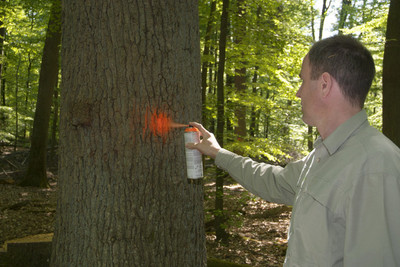 Markierung eines Baumes