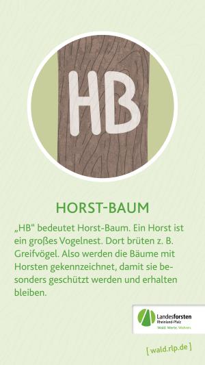 Horstbaum