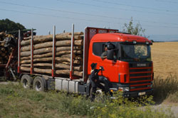 Laubindustrieholz LKW-verladen