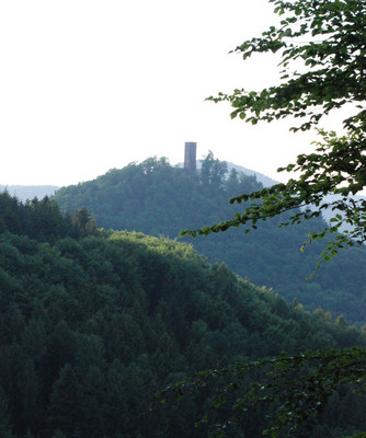 Burg umschlossen von Wald