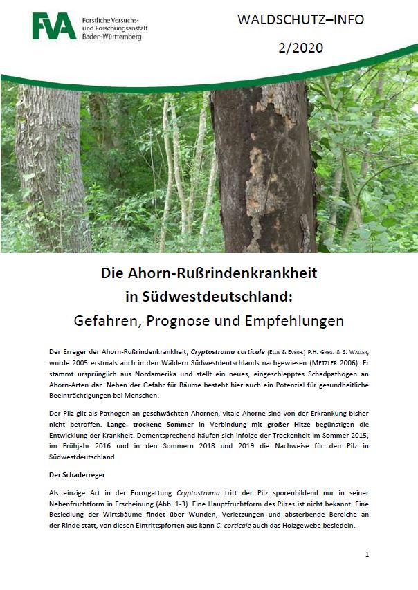 Waldschutz-Info 2/2020