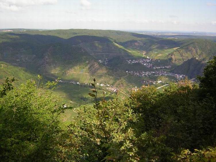 Weinberge und Wälder prägen die Landschaft im Ahrtal