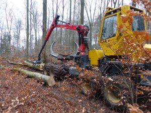 eine gelbe Forstmaschine transportiert einen Baumstamm mit Hilfe eines Kranes