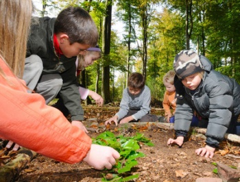 Kinder erforschen den Wald
