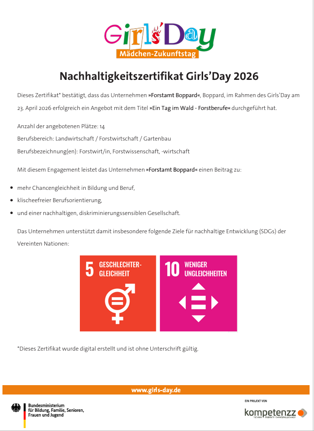 Foto des Girls-Day Zertifikats