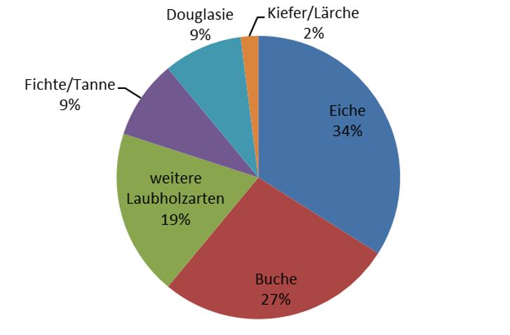 Baumartenanteile: Eiche 34 %, Buche 27 %, Douglasie 9 %, Fichte/Tanne 9 %, Kiefer/Lärche 2 %, übrige Laubhölzer 19 %