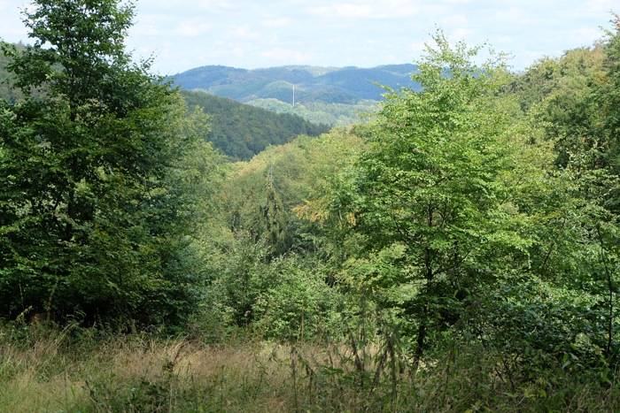 Blick aus Märkerwald Richtung Westerwald