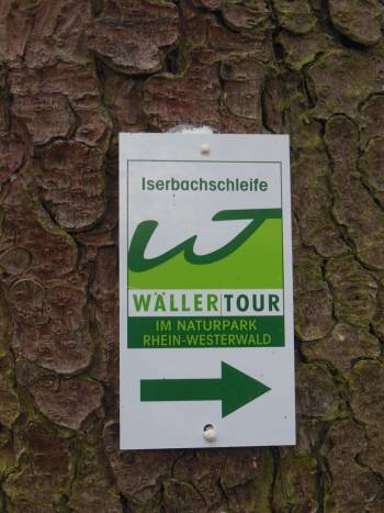 hier geht es zur Iserbachschleife Wanderwege im Forstrevier Anhausen