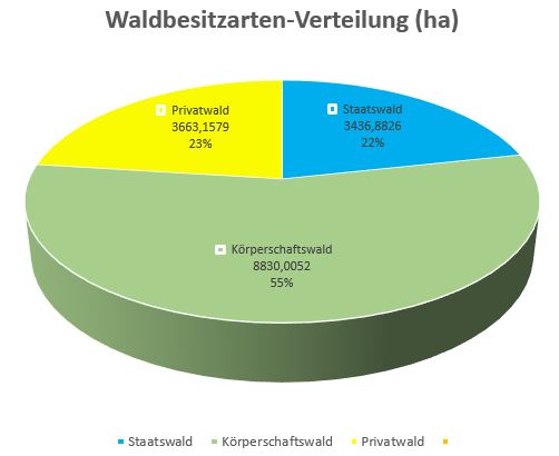 Grafik Waldbesitzarten-Verteilung: Körperschaftswald 55 %, Privatwald 23 %, Staatswald 22 %