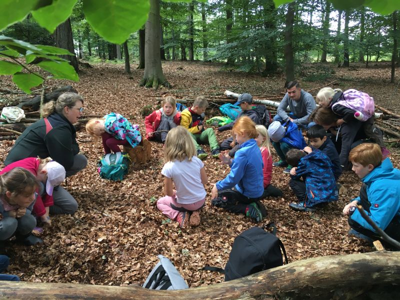 Kinder sitzen oder kauern auf dem Waldboden in einem durch Äste umrandeten Bereich. Links erklärt die auf dem Boden knieende Försterin den Kindern etwas.