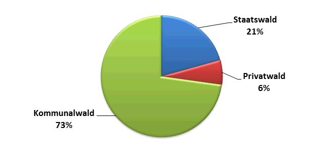 Waldbesitzanteile: Staatswald 21 %, Privatwald 6 %, Kommunalwald 73 %