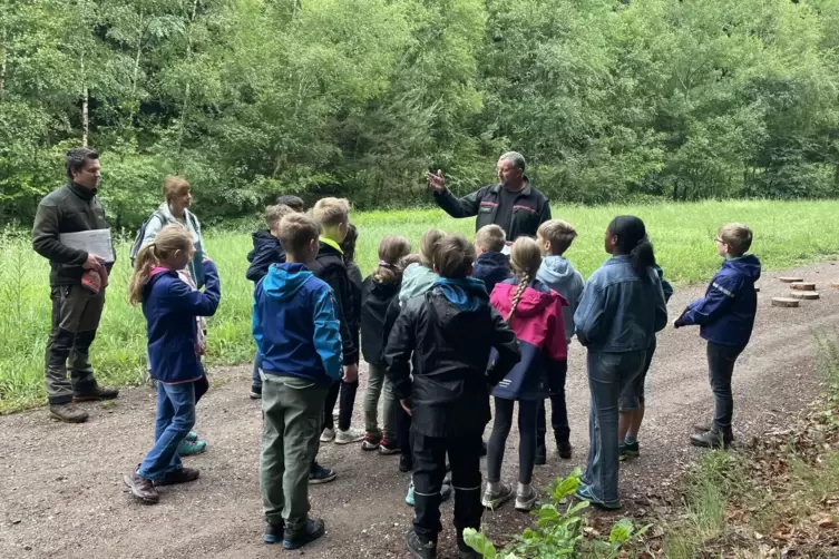 Das Bild zeigt eine Schulklasse bei den Waldjugendspielen