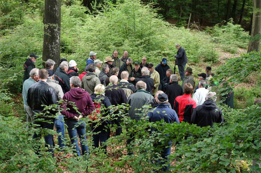 Forstamtsleiter Peter Wind und Revierleiter Rafael Meis erläutern das im Gondenbretter Gemeindewald praktizierte Jagdmodell und zeigen die sich dadurch einstellenden Waldbilder.