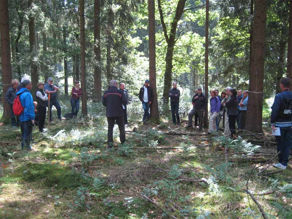 Forstamtsleiter Peter Wind erklärt die Bedeutung von Fichte und Tanne für die Forstwirtschaft im Forstamt Prüm.