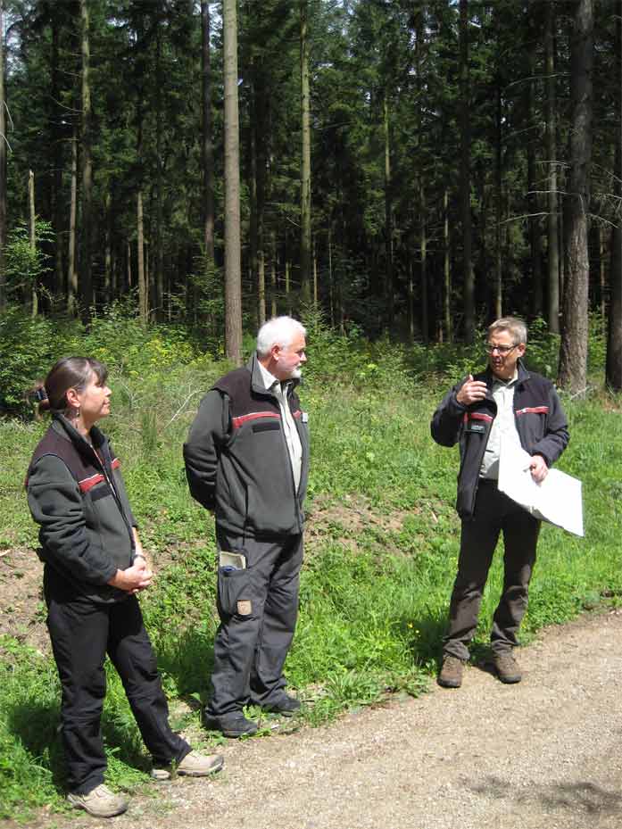Forstamtsleiter Peter Wind und Revierleiter Reimund Köhl erklären das Wuchsverhalten und die Bedeutung der Douglasie.