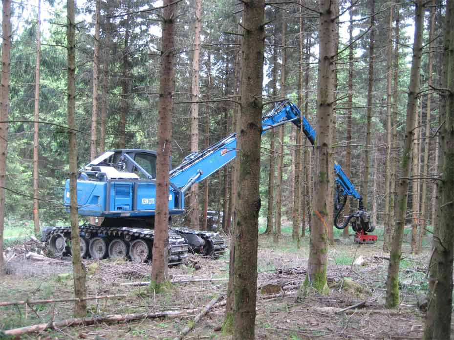 Bodenschonende Holzernte mit einem Harvester (Vollernter) mit flexiblem Panzerlaufwerk. Dieses verteilt den Druck der Maschine gleichmäßig auf den Boden und ermöglicht dadurch oft  die Befahrung  empfindlicher Standorte.