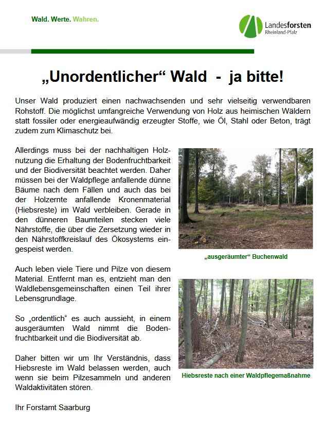 Plakat Unordentlicher Wald