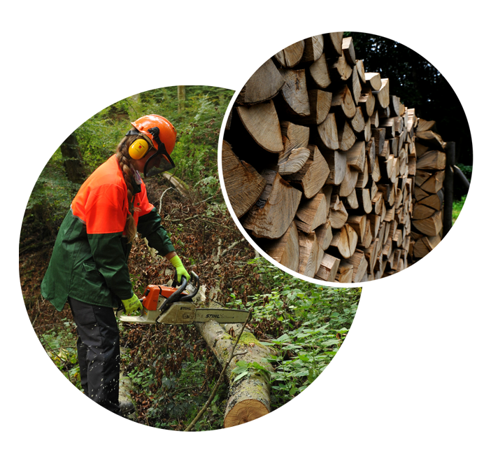 Fotocollage mit 2 Fotos: Person beim Brennholz bearbeiten und ein Holzpolter