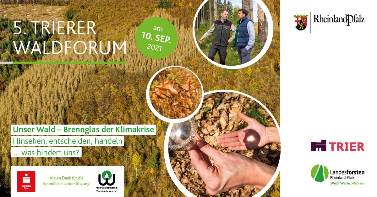 Titelseite Flyer Trierer Waldforum 2021