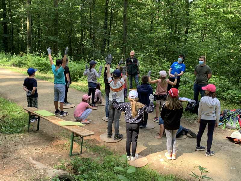 Wald-Jugendspiele - Kinder an einer Informationsstation im Wald